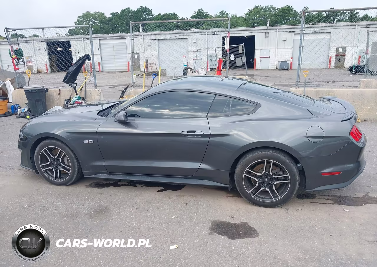 2019 Ford Mustang Gt VIN:1FA6P8CF9K5198836 - 14