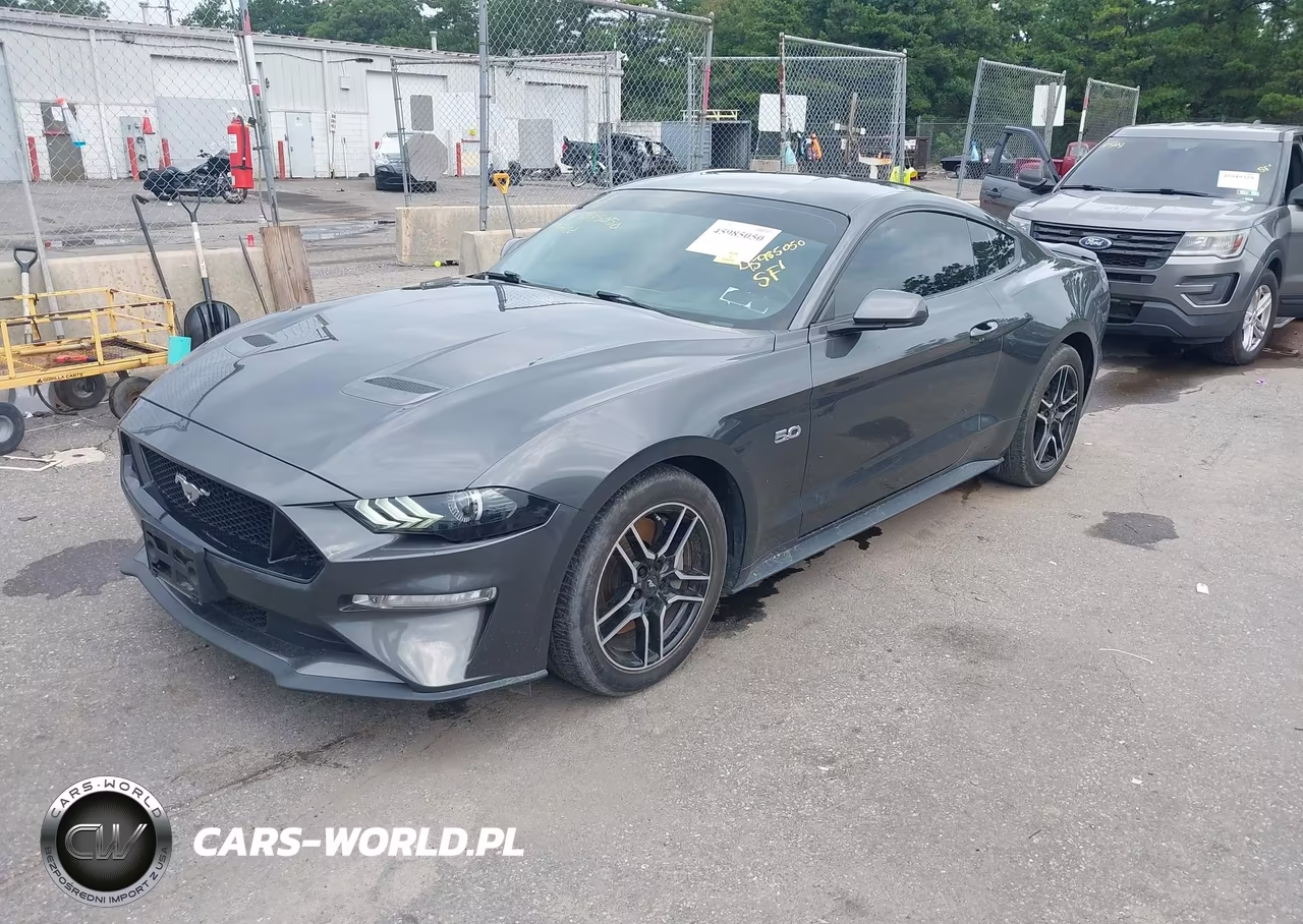 2019 Ford Mustang Gt VIN:1FA6P8CF9K5198836 - 2