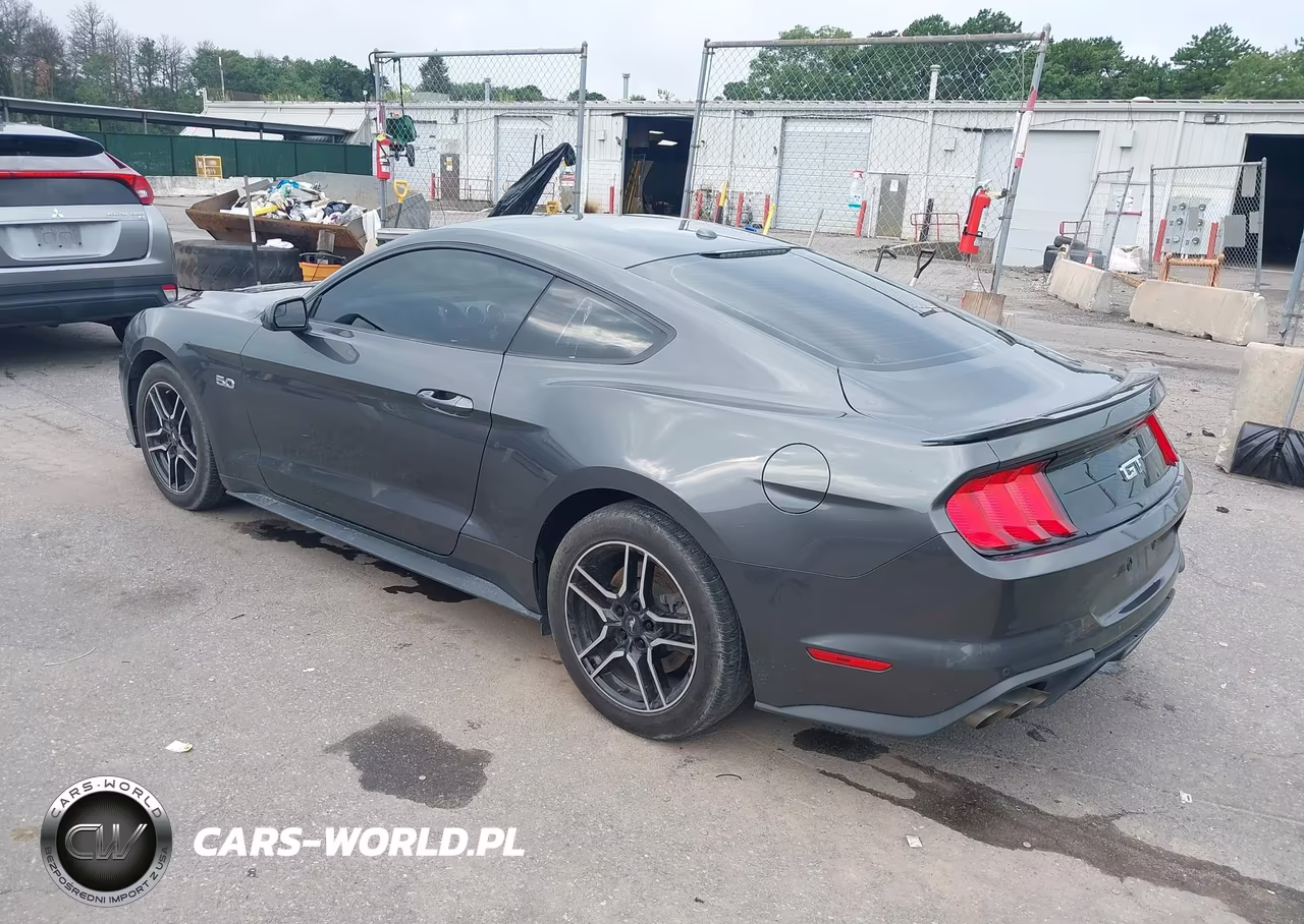 2019 Ford Mustang Gt VIN:1FA6P8CF9K5198836 - 3