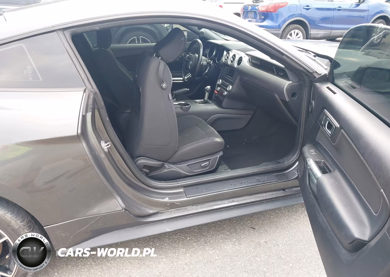 2019 Ford Mustang Gt VIN:1FA6P8CF9K5198836 - 5