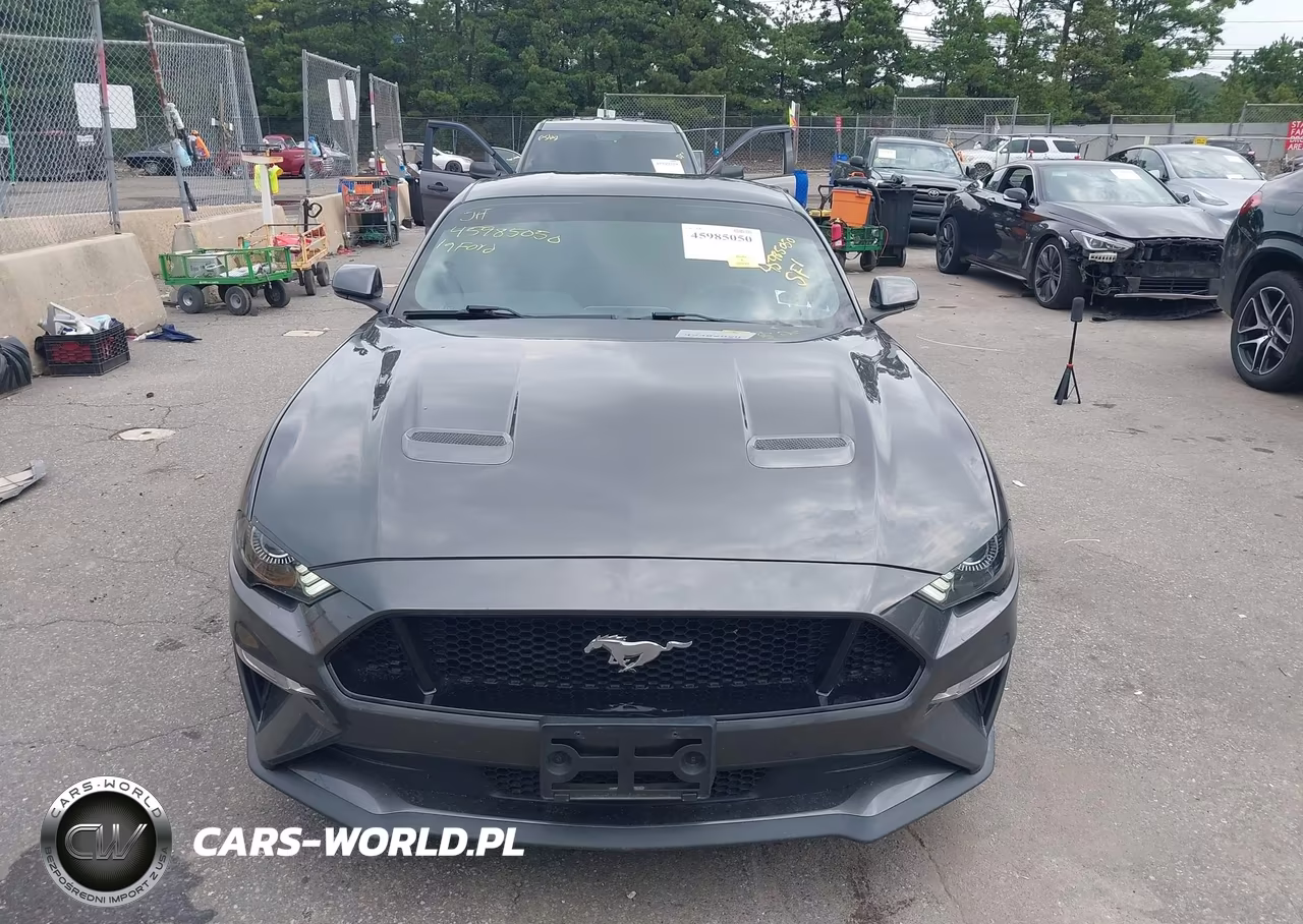 2019 Ford Mustang Gt VIN:1FA6P8CF9K5198836 - 6