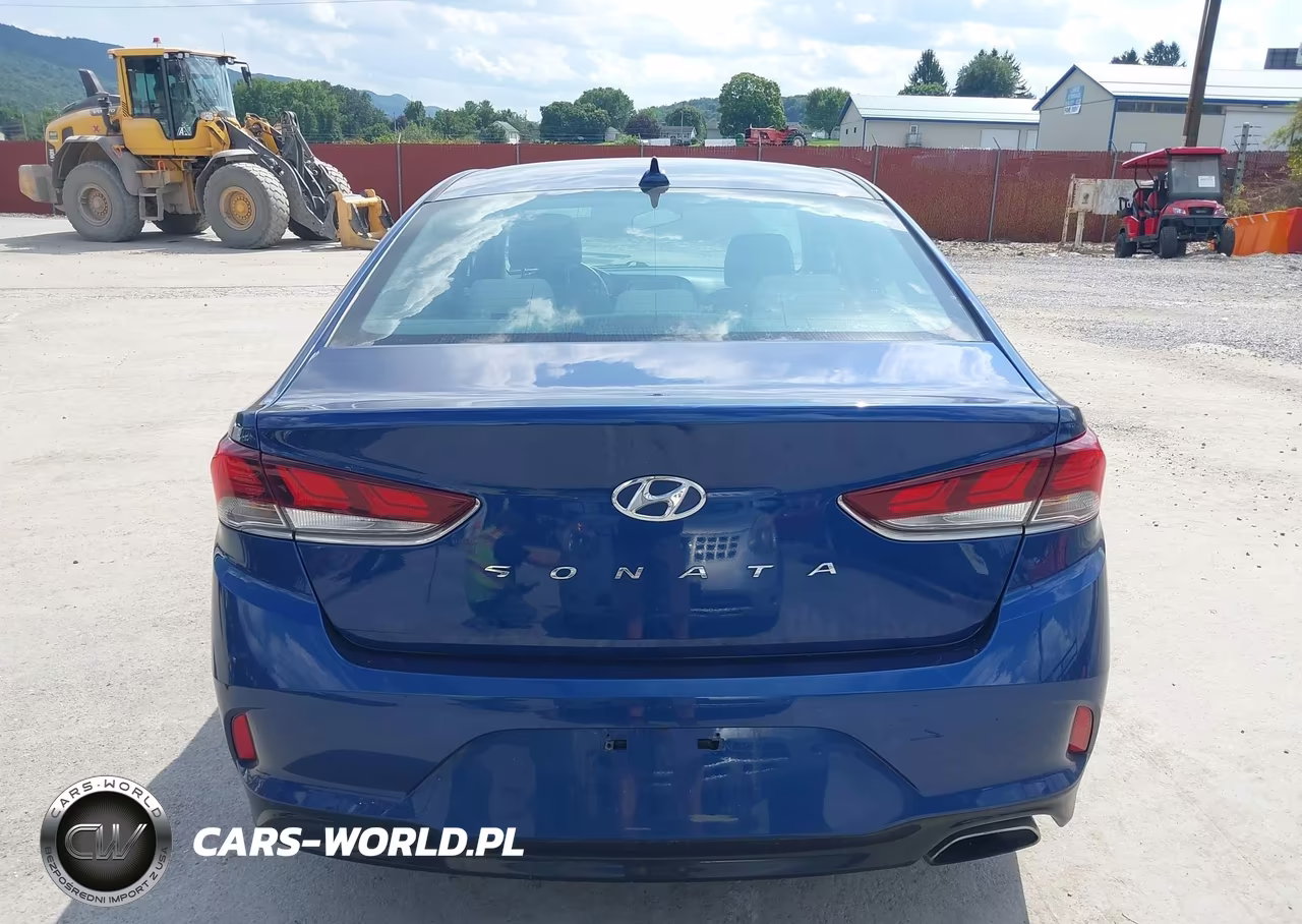 2019 Hyundai Sonata Se VIN:5NPE24AF3KH764179 - 17