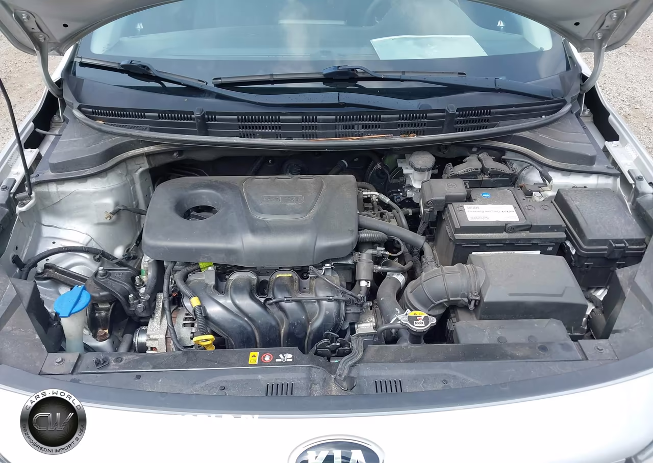 2019 Kia Rio 5-Door S VIN:3KPA25AB4KE233157 - 10