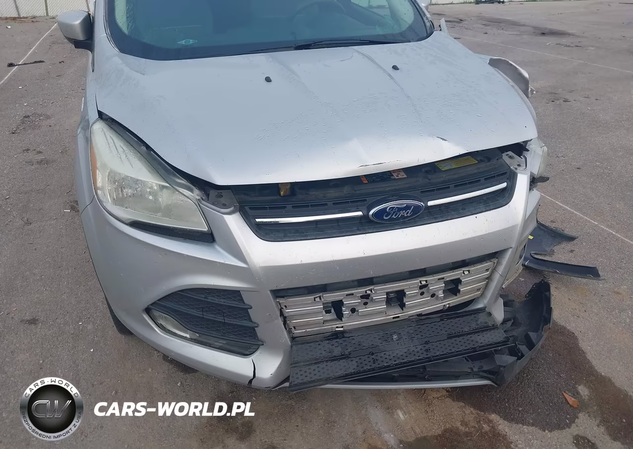 2014 Ford Escape Se VIN:1FMCU0GX5EUA26965 - 13