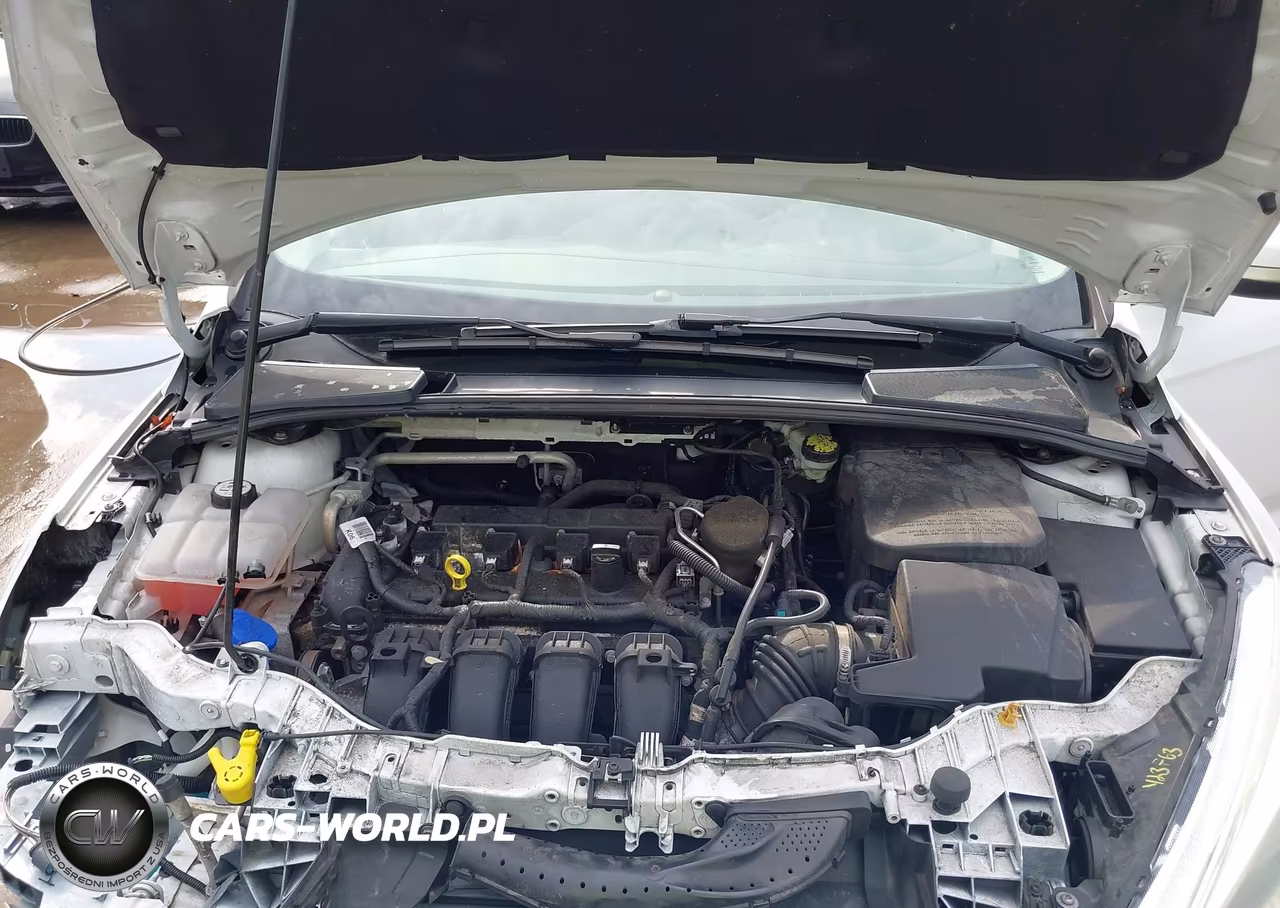 2016 Ford Focus Se VIN:1FADP3F28GL240421 - 10