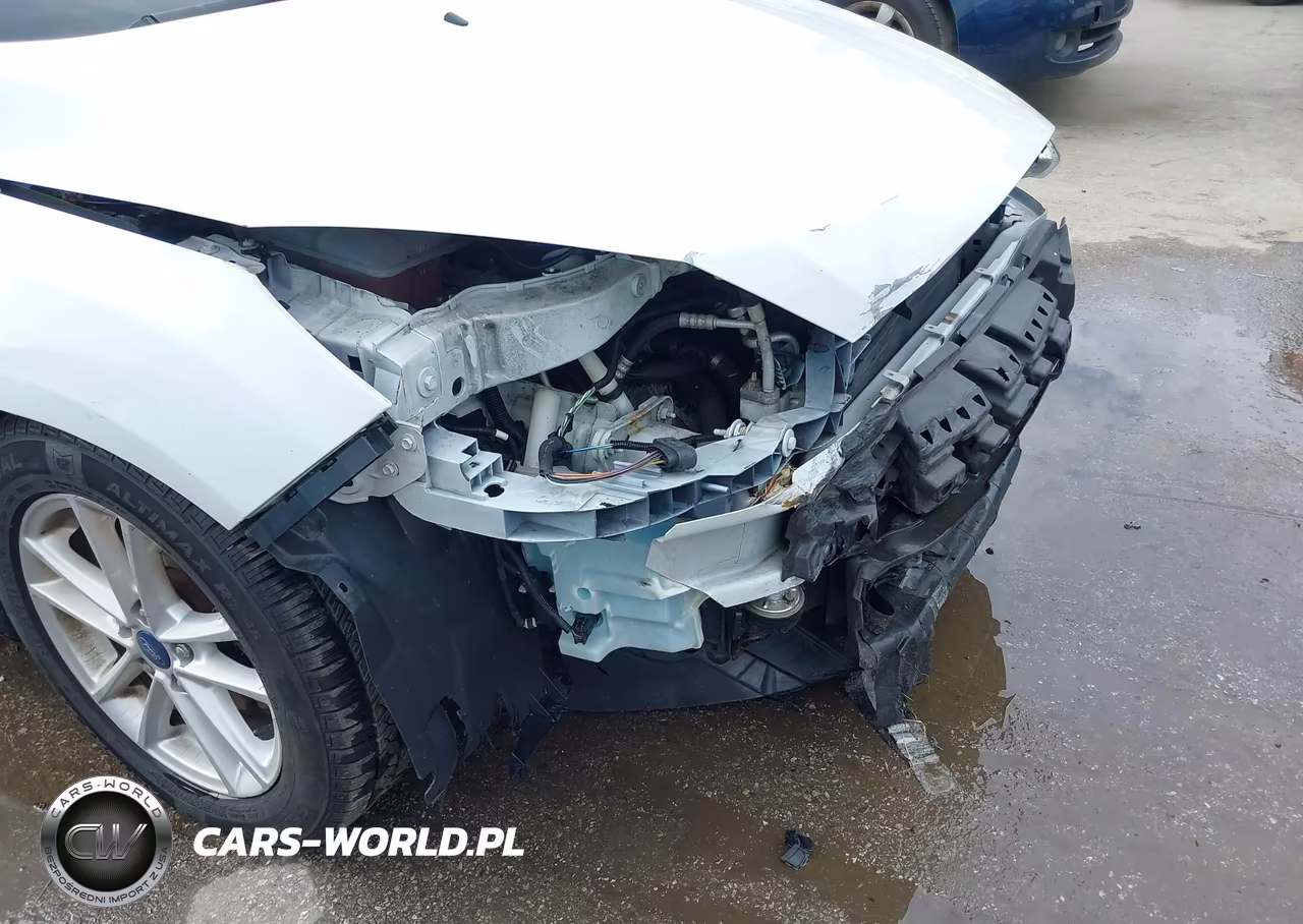 2016 Ford Focus Se VIN:1FADP3F28GL240421 - 18