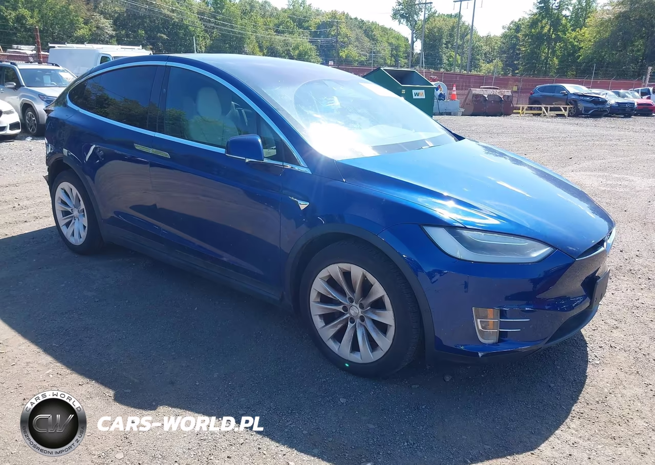 2019 Tesla Model X 100D-75D-Long Range VIN:5YJXCAE29KF195607 - 1