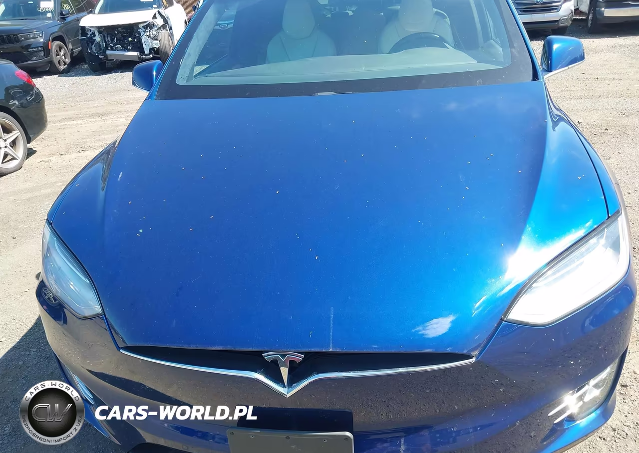2019 Tesla Model X 100D-75D-Long Range VIN:5YJXCAE29KF195607 - 10