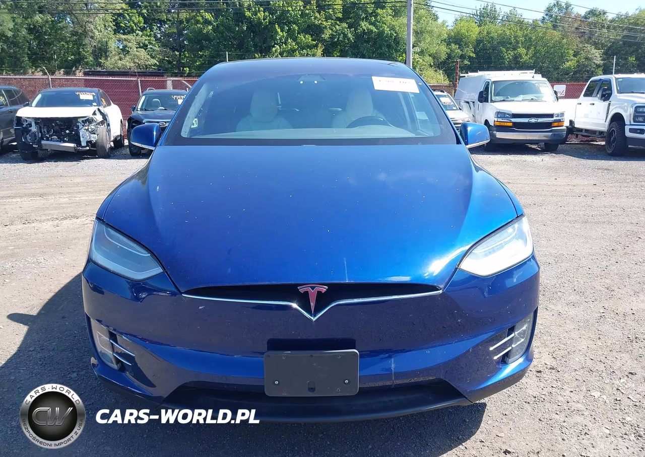 2019 Tesla Model X 100D-75D-Long Range VIN:5YJXCAE29KF195607 - 12