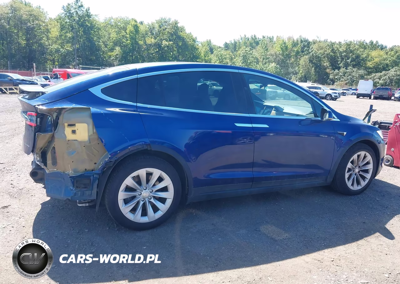 2019 Tesla Model X 100D-75D-Long Range VIN:5YJXCAE29KF195607 - 13