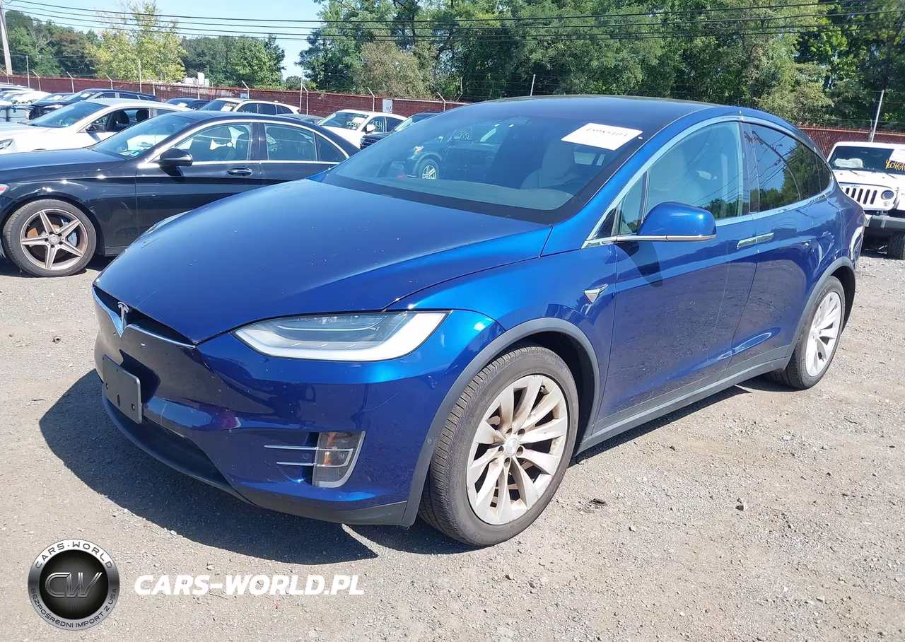 2019 Tesla Model X 100D-75D-Long Range VIN:5YJXCAE29KF195607 - 2