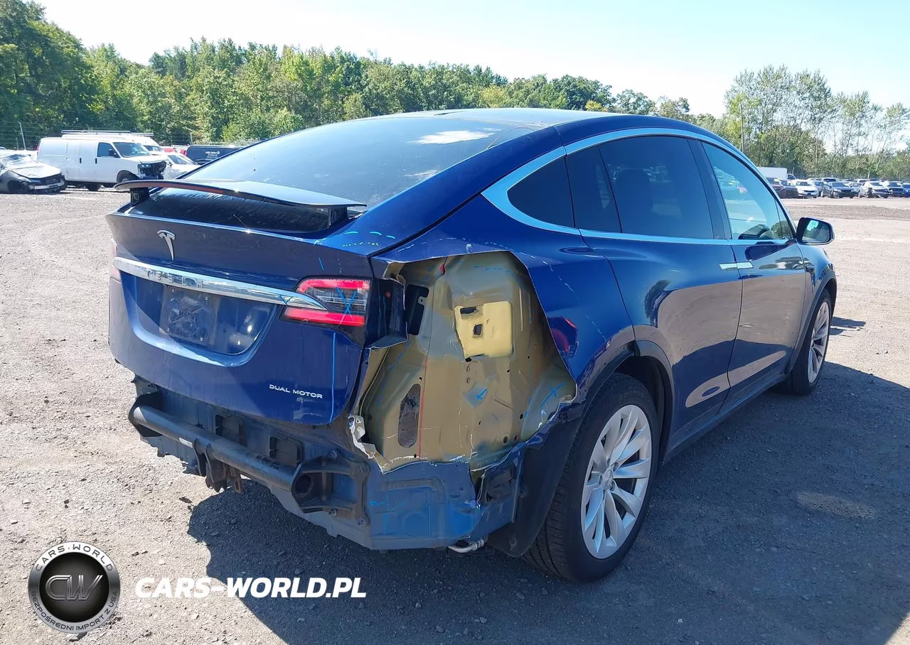 2019 Tesla Model X 100D-75D-Long Range VIN:5YJXCAE29KF195607 - 6