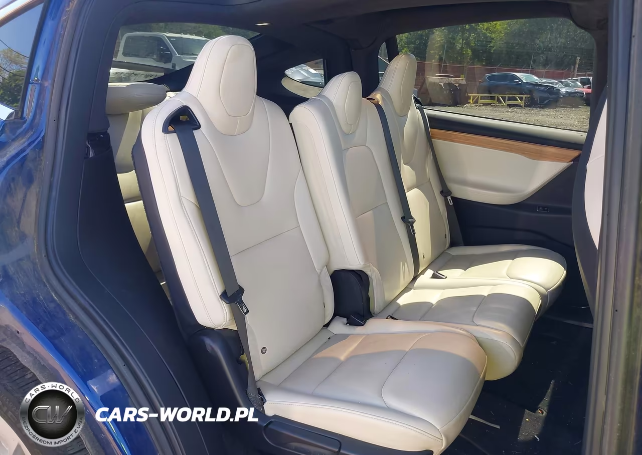 2019 Tesla Model X 100D-75D-Long Range VIN:5YJXCAE29KF195607 - 8