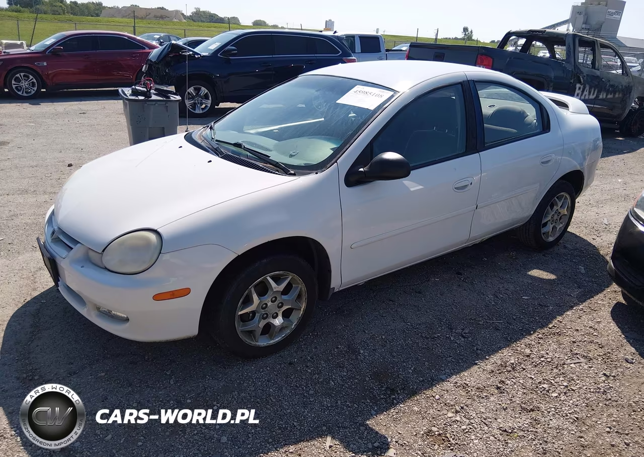 2002 Dodge Neon Sxt VIN:1B3ES56C12D651455 - 2