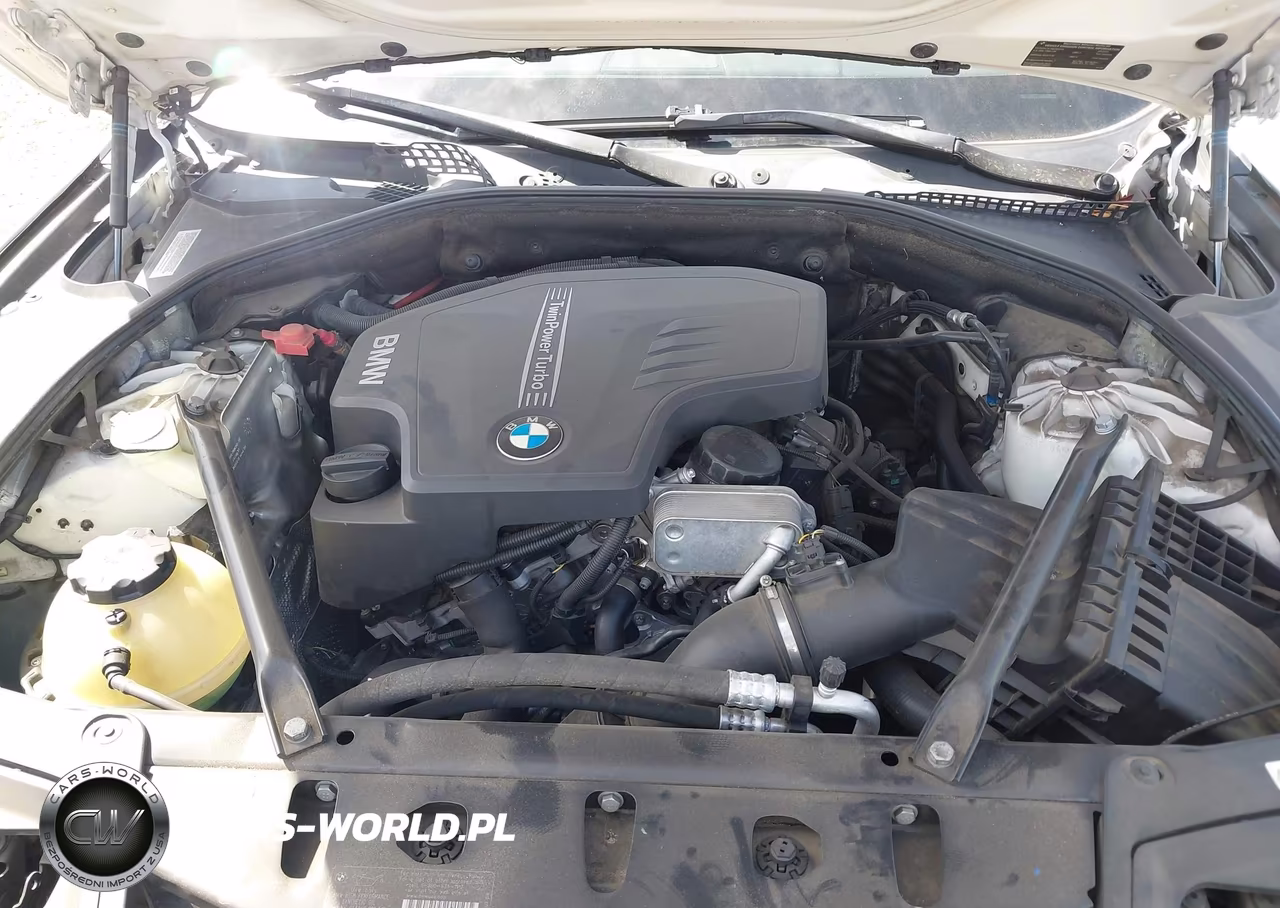 2014 BMW 528I VIN:WBA5A5C58ED501870 - 10