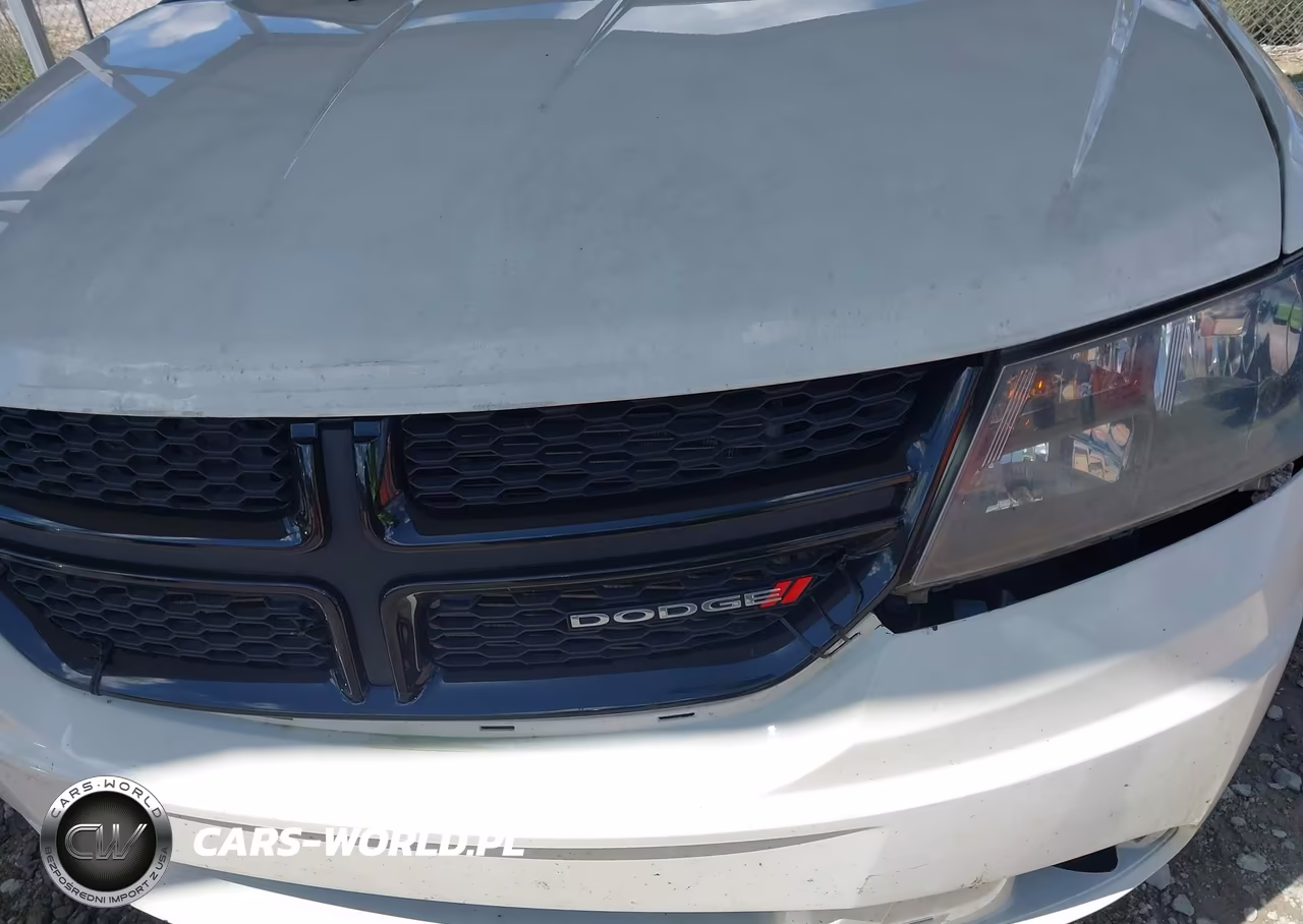 2017 Dodge Journey Sxt VIN:3C4PDCBG0HT545161 - 10