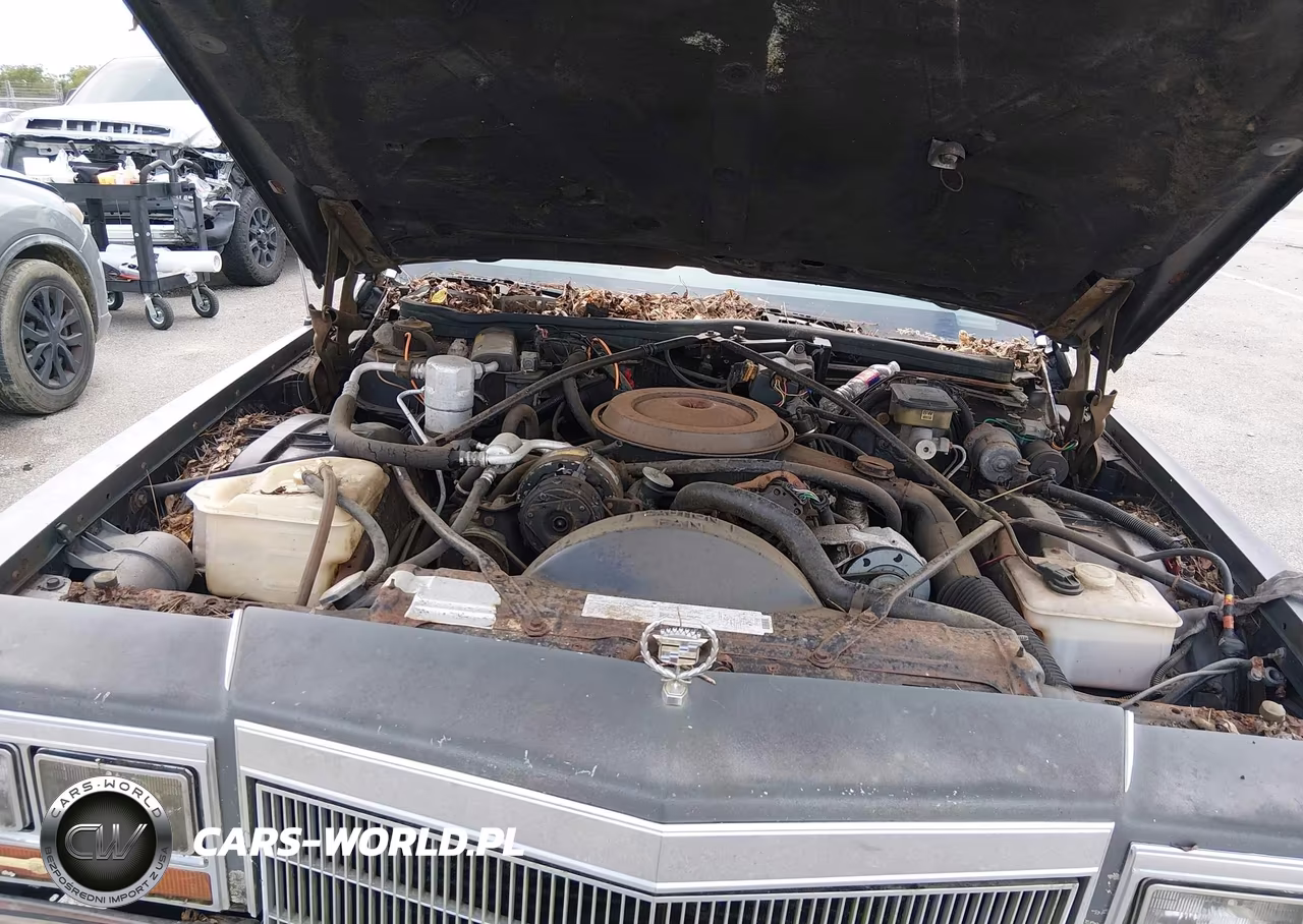 1986 Cadillac Fleetwood Brougham VIN:1G6DW69Y4G9703959 - 10
