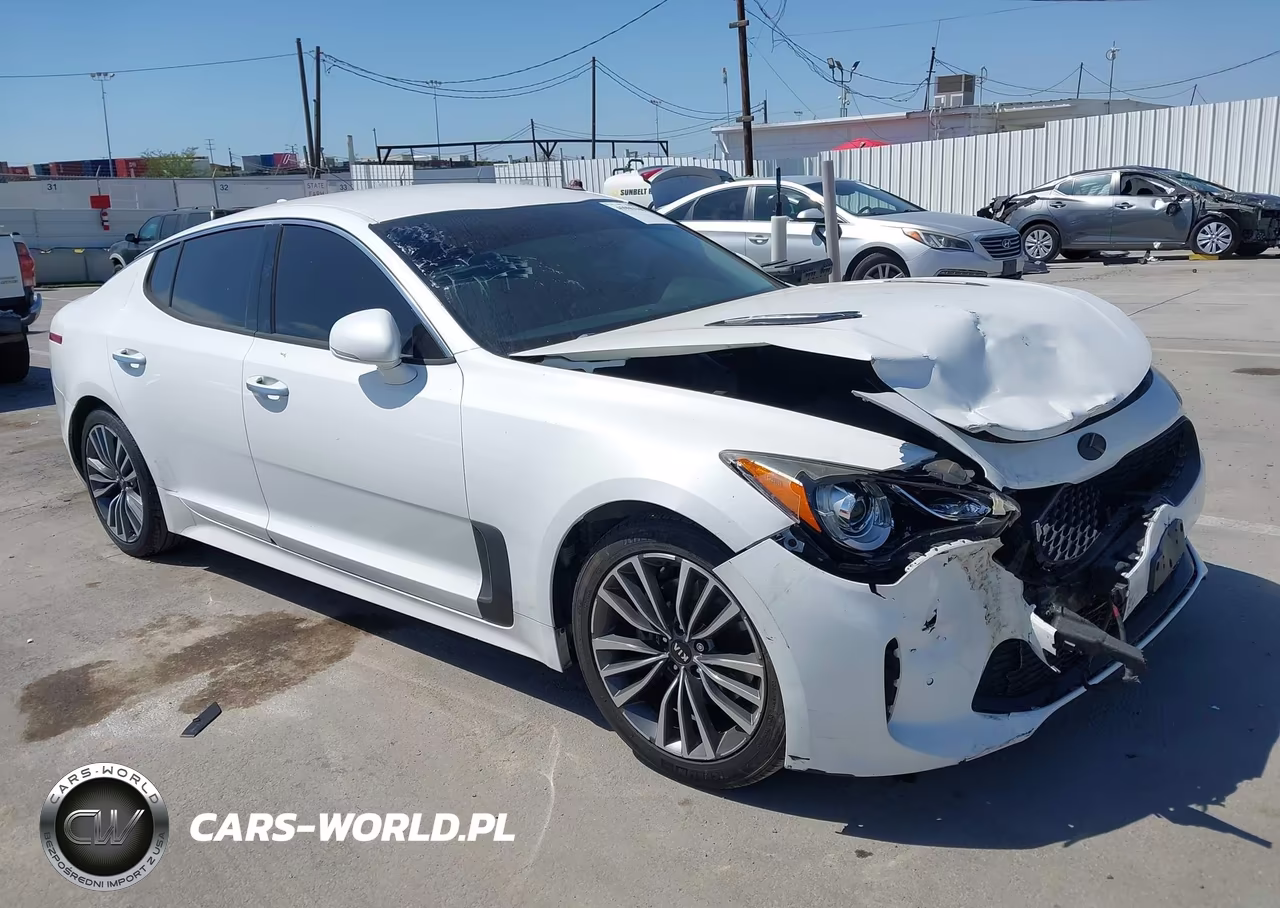 2019 Kia Stinger VIN:KNAE15LA7K6049536 - 1