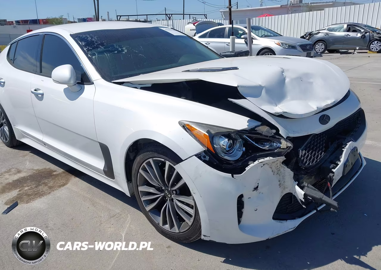 2019 Kia Stinger VIN:KNAE15LA7K6049536 - 12