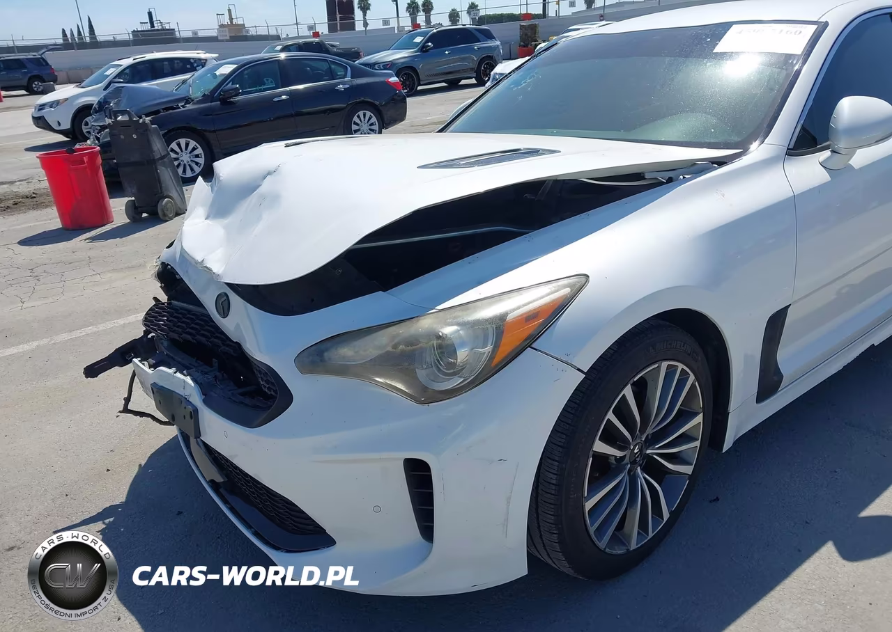 2019 Kia Stinger VIN:KNAE15LA7K6049536 - 13