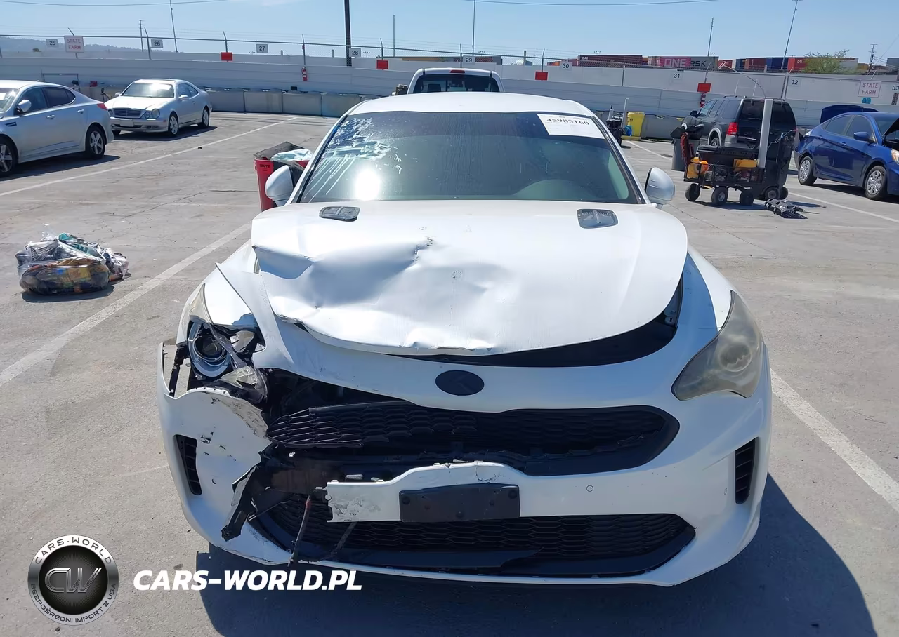 2019 Kia Stinger VIN:KNAE15LA7K6049536 - 14