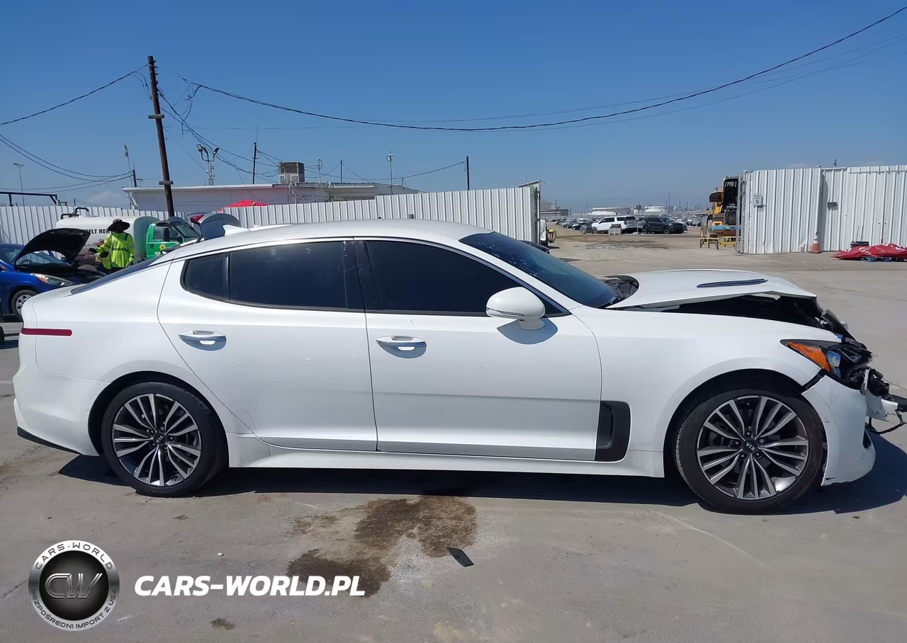 2019 Kia Stinger VIN:KNAE15LA7K6049536 - 15