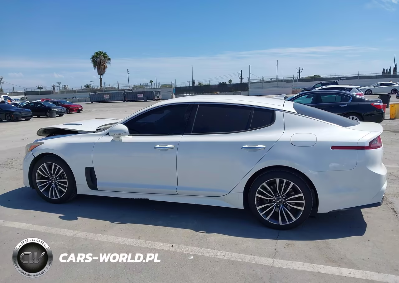 2019 Kia Stinger VIN:KNAE15LA7K6049536 - 16