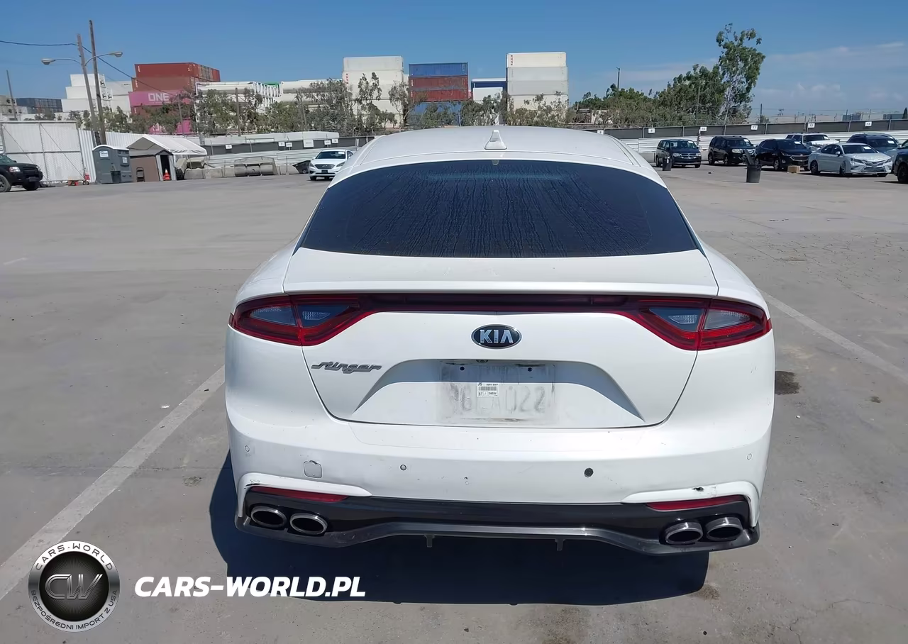 2019 Kia Stinger VIN:KNAE15LA7K6049536 - 18