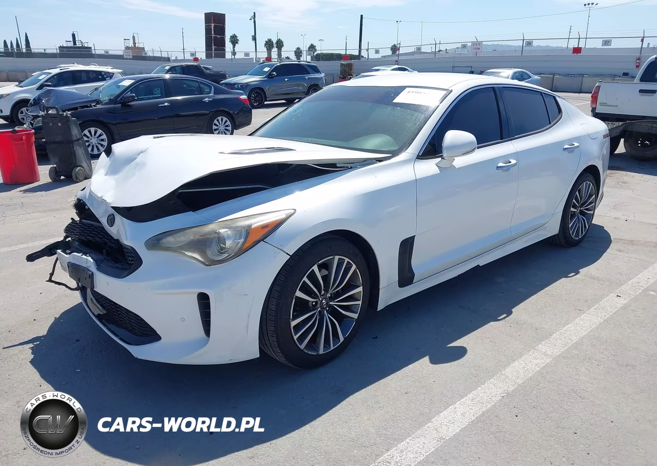 2019 Kia Stinger VIN:KNAE15LA7K6049536 - 2