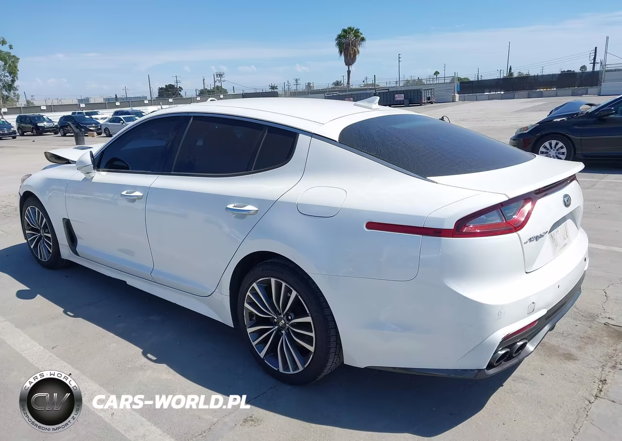 2019 Kia Stinger VIN:KNAE15LA7K6049536 - 3