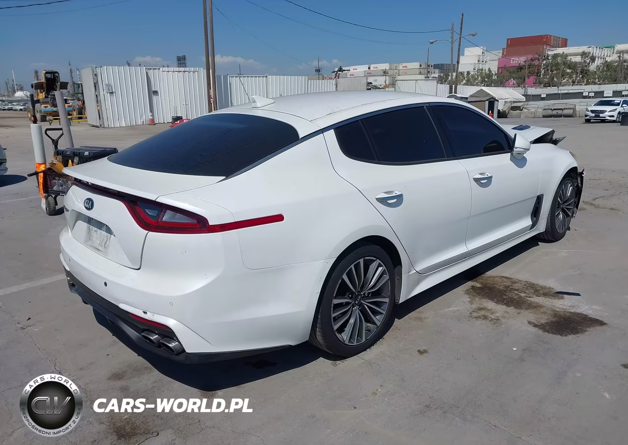 2019 Kia Stinger VIN:KNAE15LA7K6049536 - 4