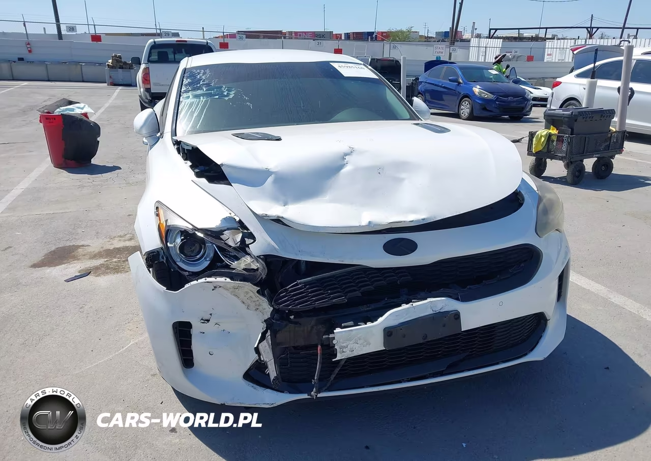 2019 Kia Stinger VIN:KNAE15LA7K6049536 - 6