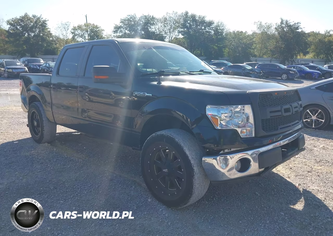 2009 Ford F-150 Xl-Xlt
