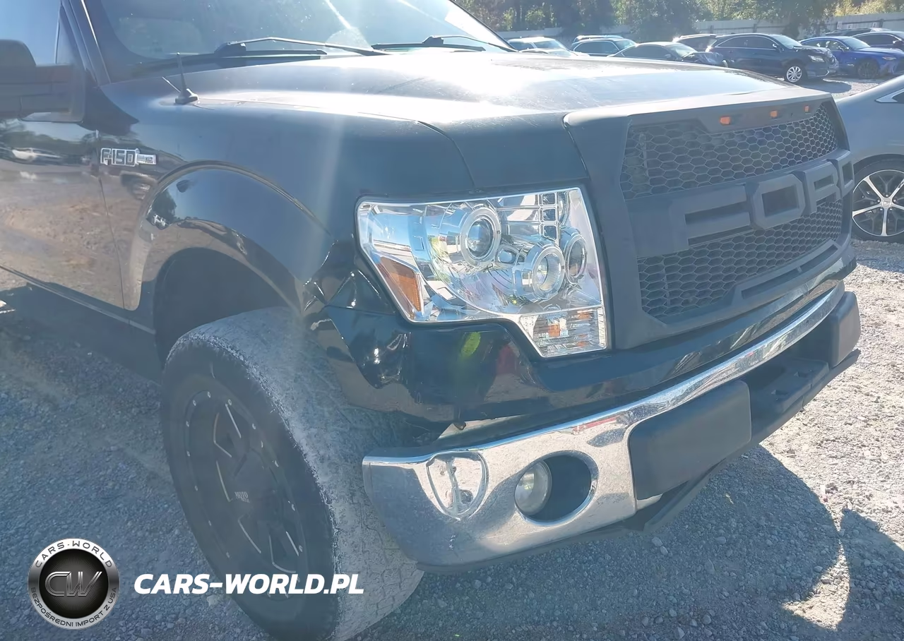 2009 Ford F-150 Xl-Xlt VIN:1FTRW12839FA10613 - 13