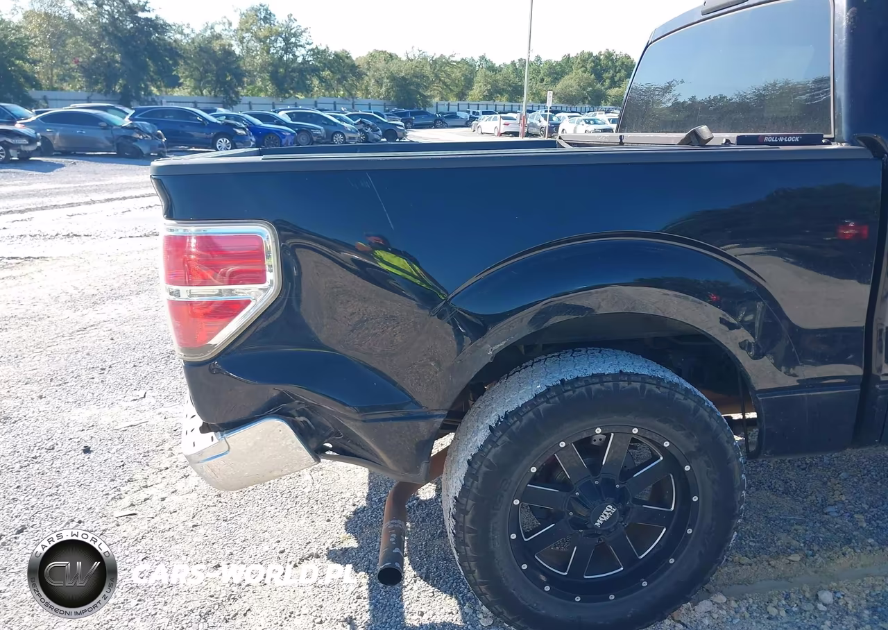 2009 Ford F-150 Xl-Xlt VIN:1FTRW12839FA10613 - 14