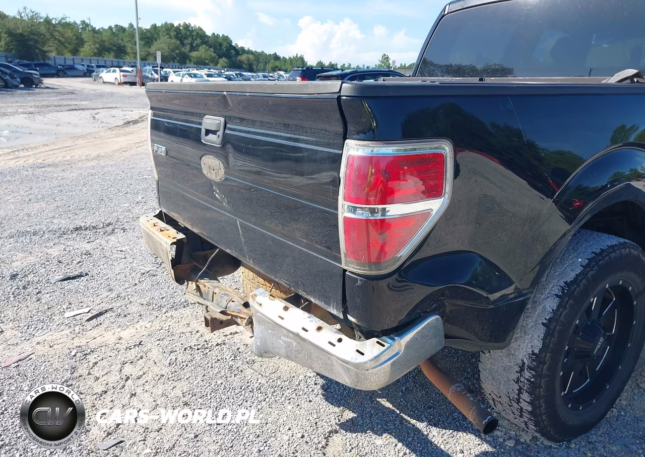 2009 Ford F-150 Xl-Xlt VIN:1FTRW12839FA10613 - 15