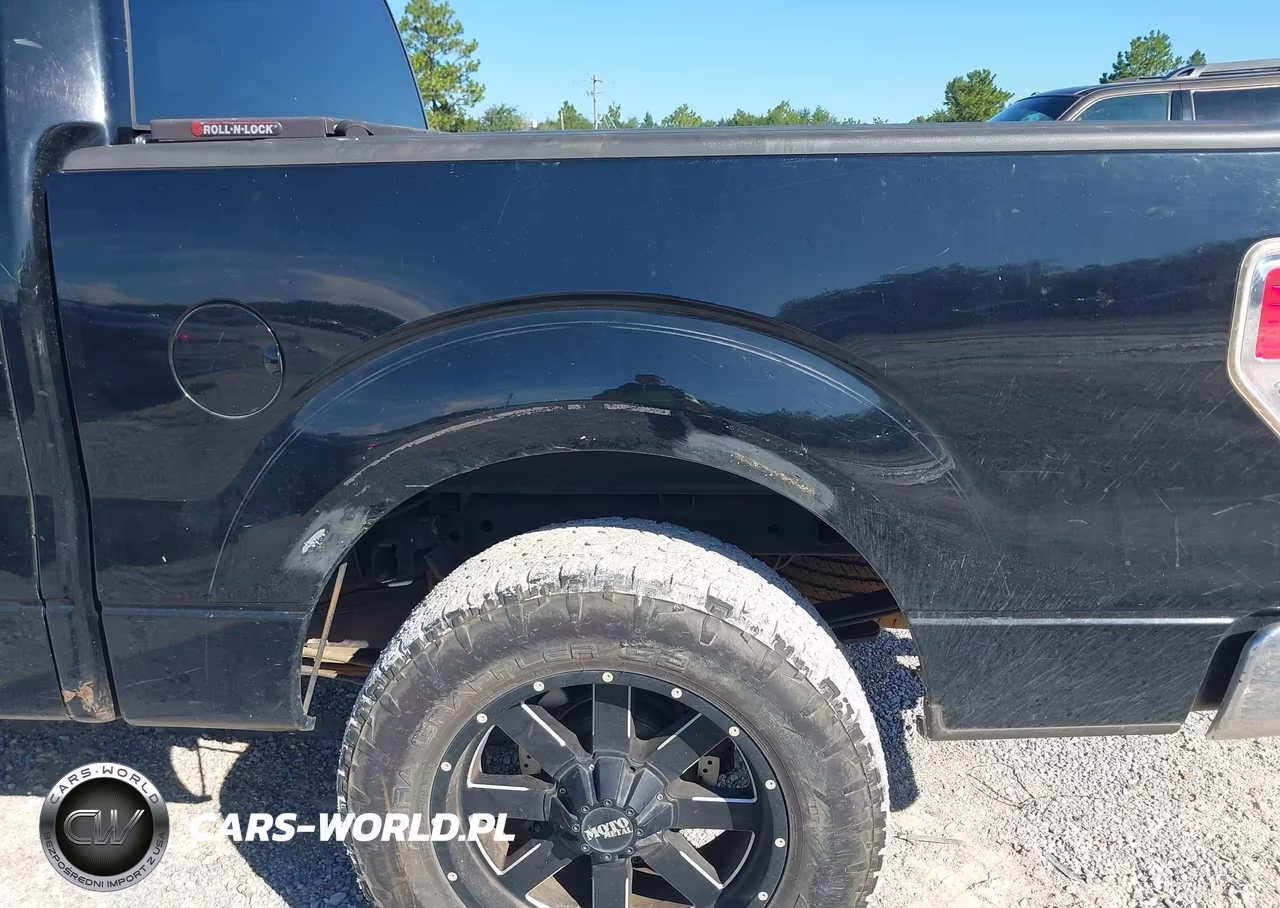 2009 Ford F-150 Xl-Xlt VIN:1FTRW12839FA10613 - 17