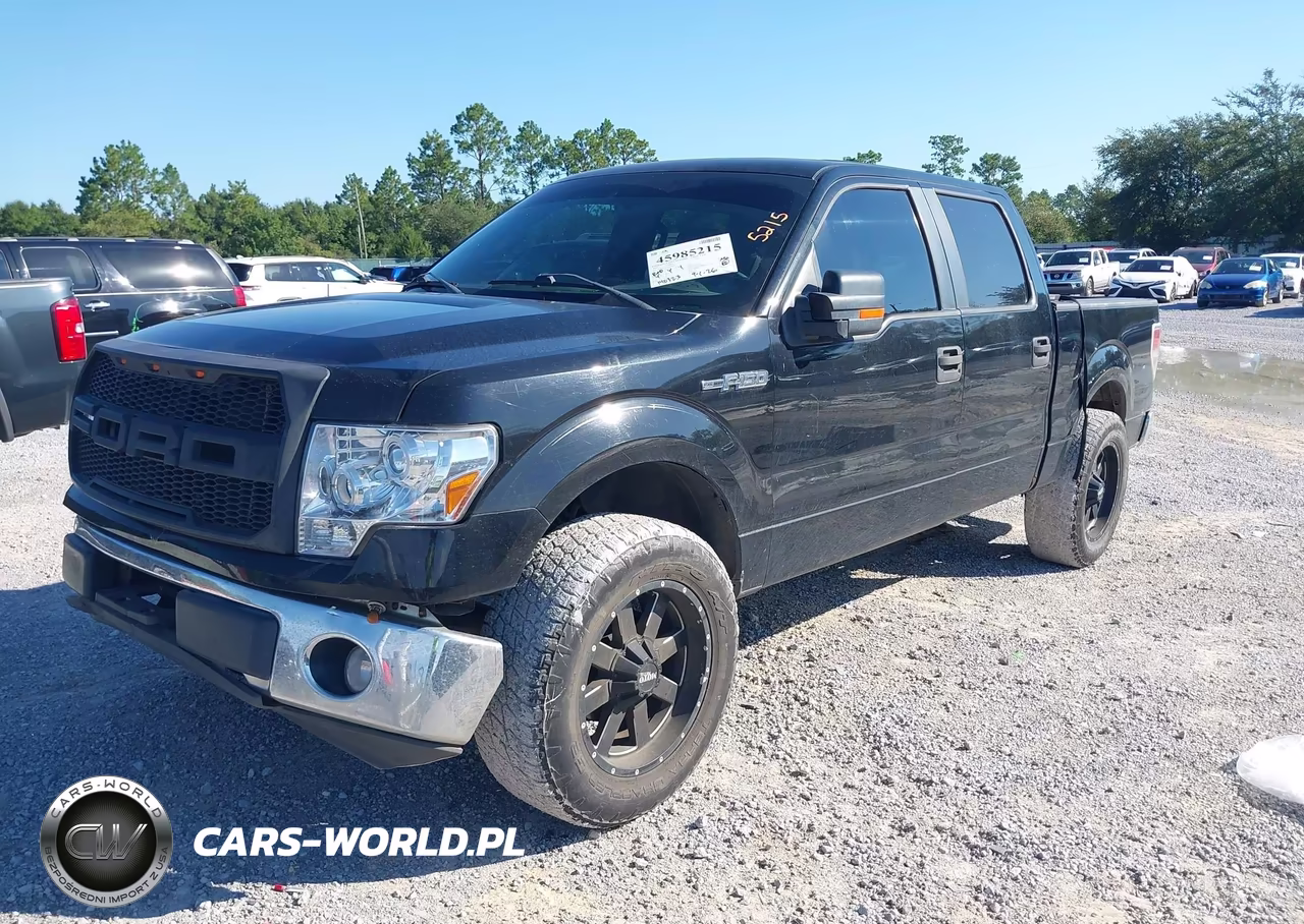 2009 Ford F-150 Xl-Xlt VIN:1FTRW12839FA10613 - 2