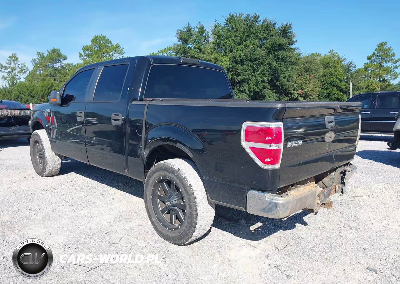 2009 Ford F-150 Xl-Xlt VIN:1FTRW12839FA10613 - 3
