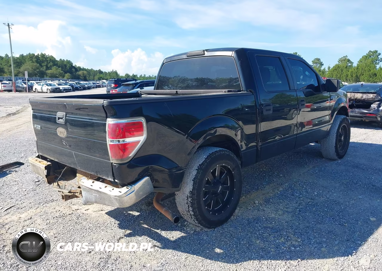 2009 Ford F-150 Xl-Xlt VIN:1FTRW12839FA10613 - 4