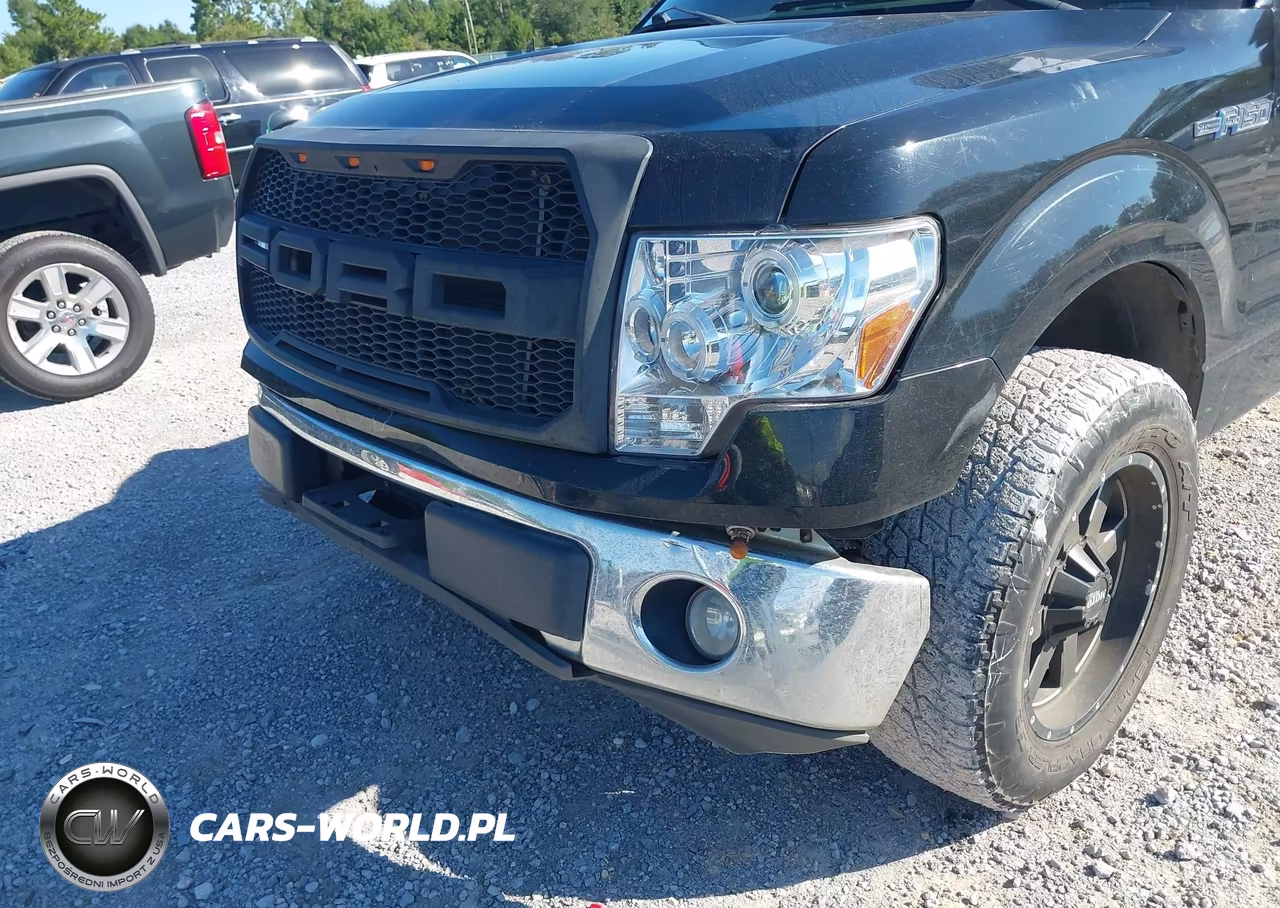 2009 Ford F-150 Xl-Xlt VIN:1FTRW12839FA10613 - 6