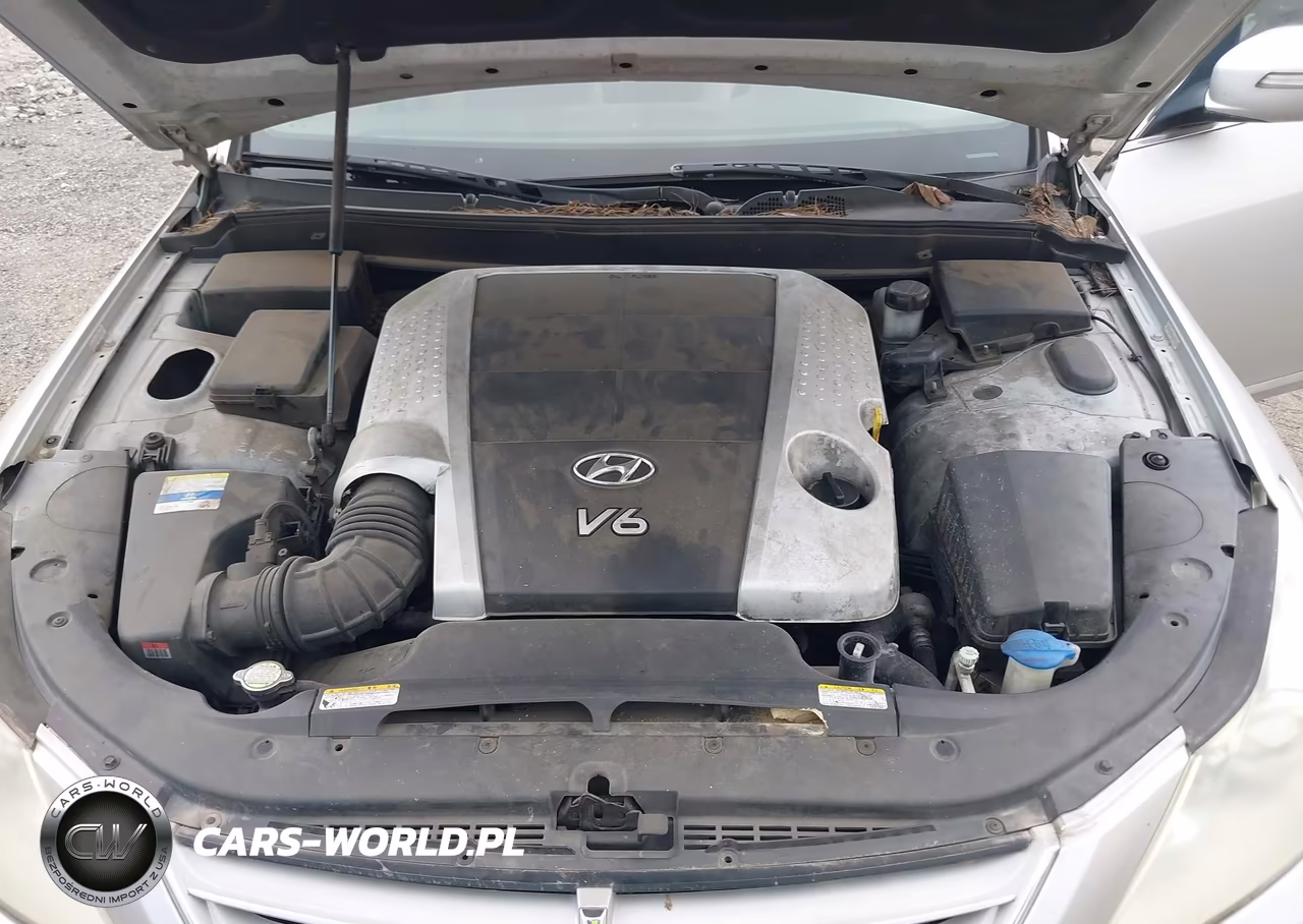 2011 Hyundai Genesis 3.8 VIN:KMHGC4DE1BU123705 - 10