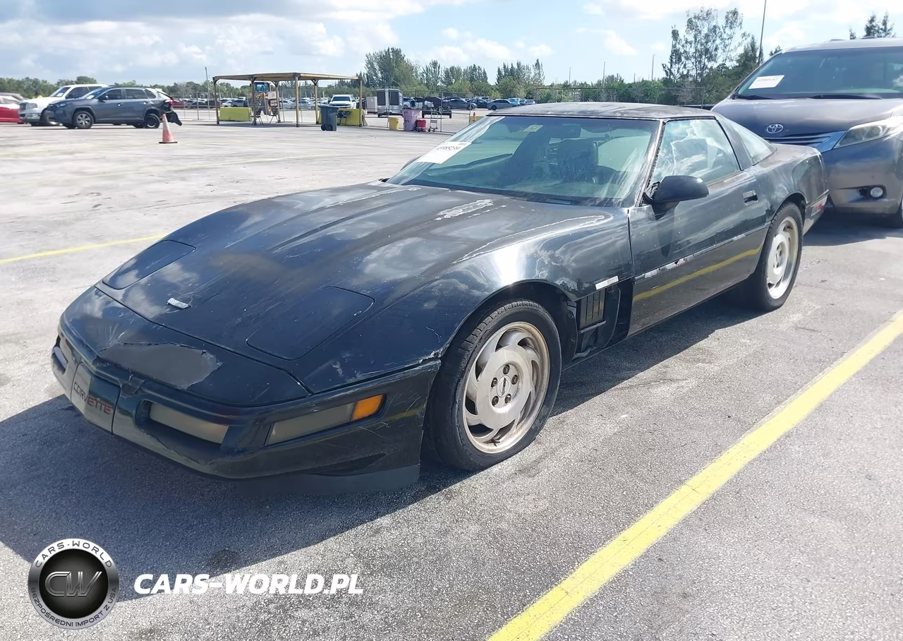 1993 Chevrolet Corvette VIN:1G1YY23P0P5113095 - 2
