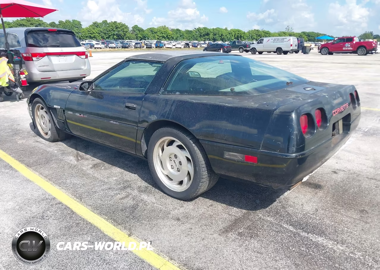 1993 Chevrolet Corvette VIN:1G1YY23P0P5113095 - 3