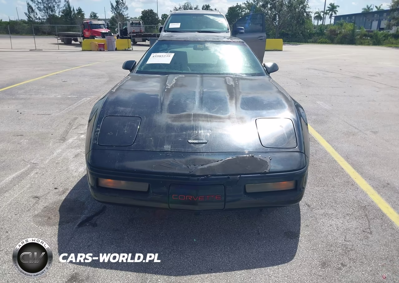 1993 Chevrolet Corvette VIN:1G1YY23P0P5113095 - 6