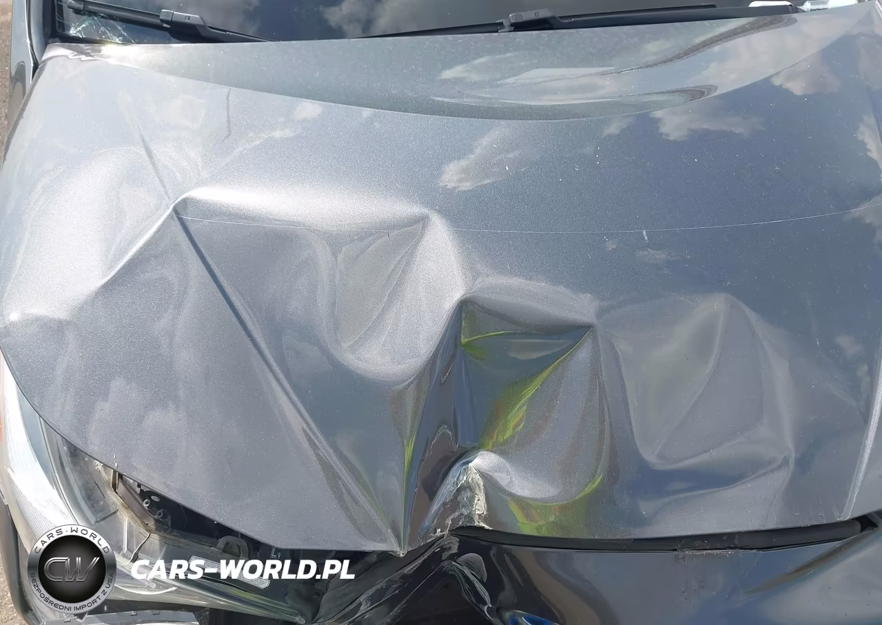 2017 Toyota Prius VIN:JTDKARFU4H3045117 - 18