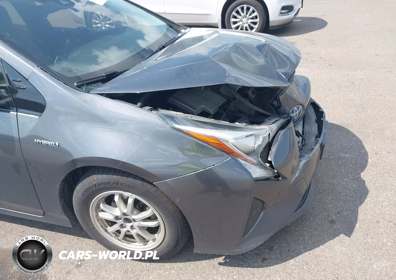 2017 Toyota Prius VIN:JTDKARFU4H3045117 - 19