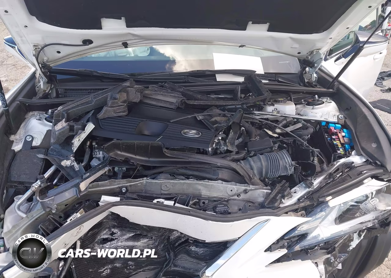 2024 Lexus Es 300H Luxury VIN:58AEA1C1XRU053344 - 10