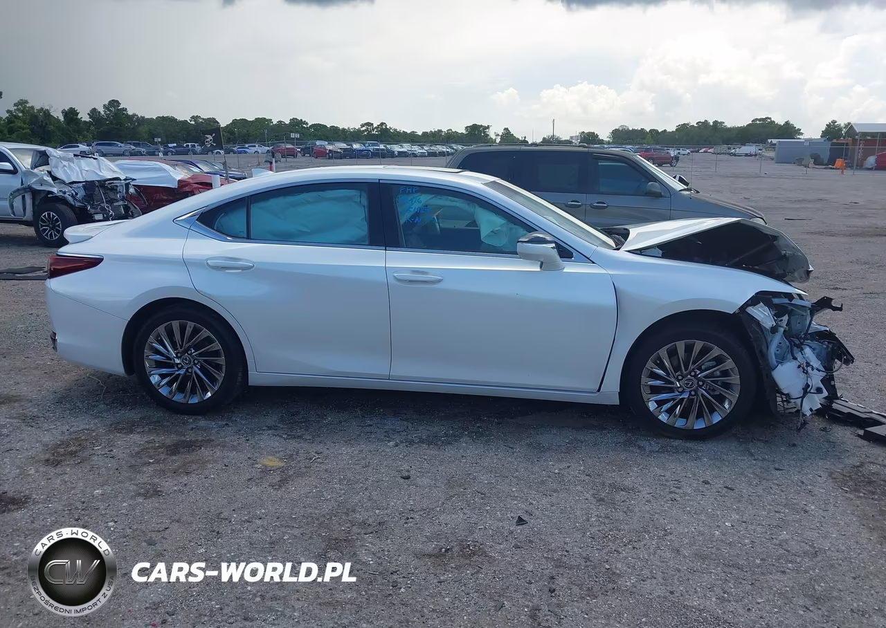 2024 Lexus Es 300H Luxury VIN:58AEA1C1XRU053344 - 13