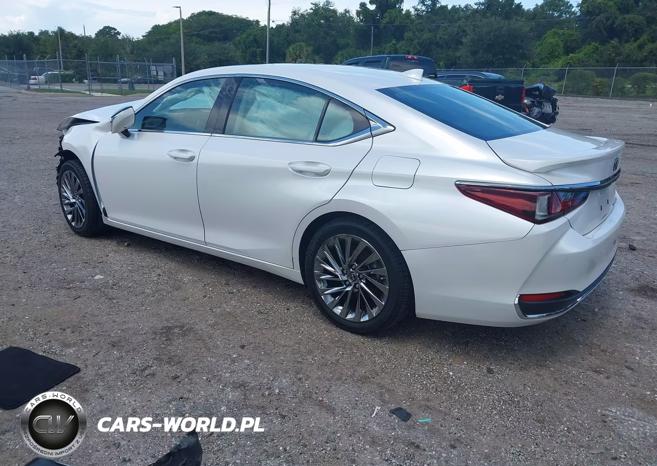 2024 Lexus Es 300H Luxury VIN:58AEA1C1XRU053344 - 3